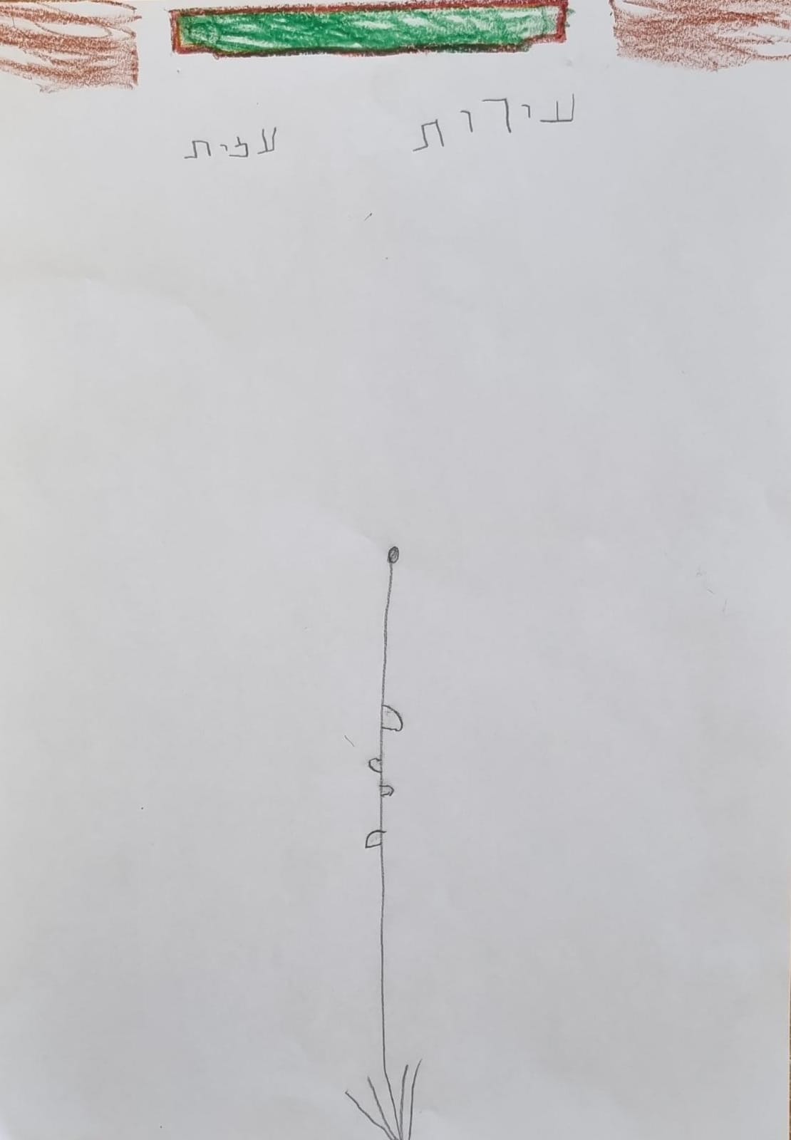 ילדי גן כלנית תיעוד בטבע by liron yogev - Ourboox.com