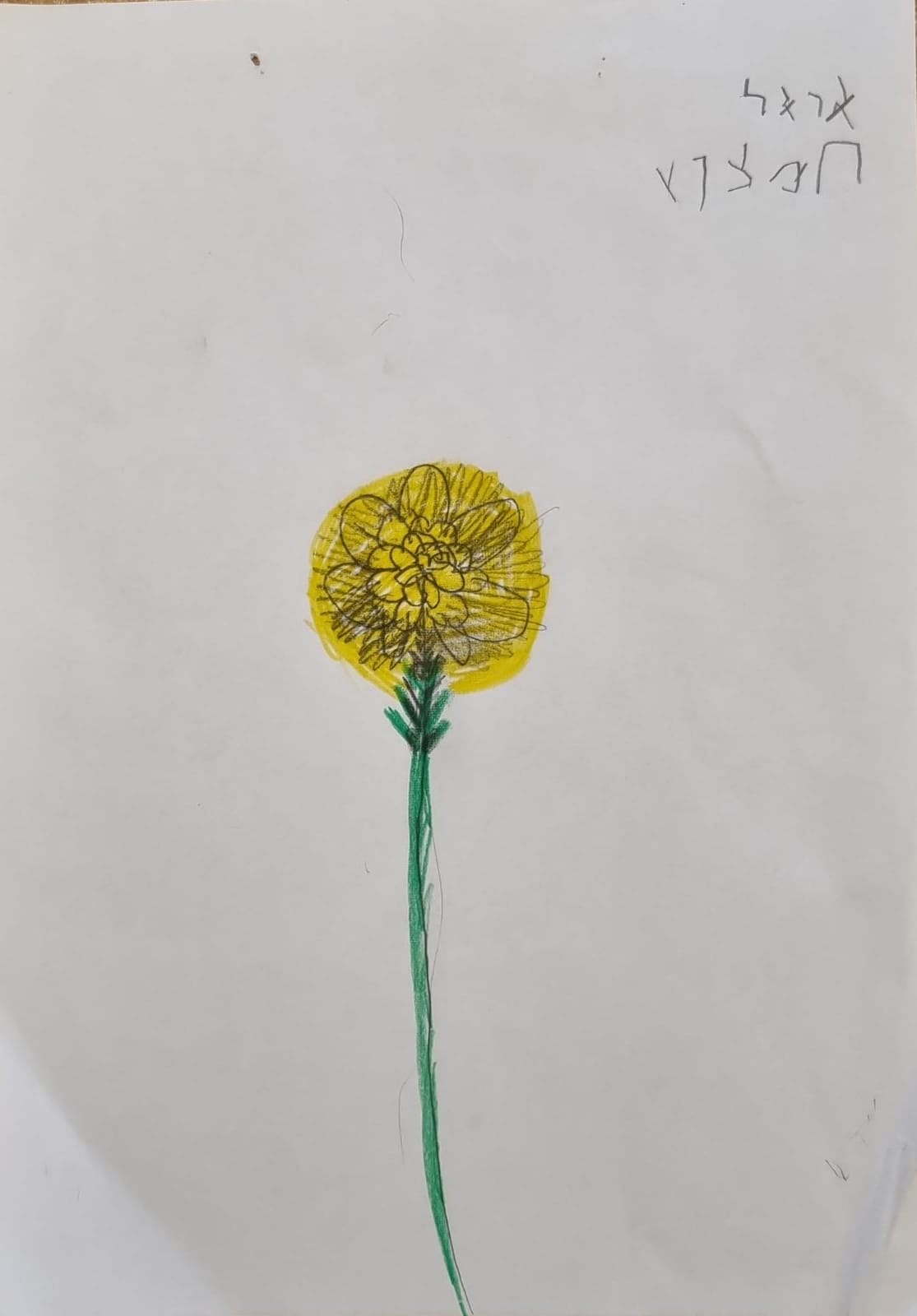 ילדי גן כלנית תיעוד בטבע by liron yogev - Ourboox.com