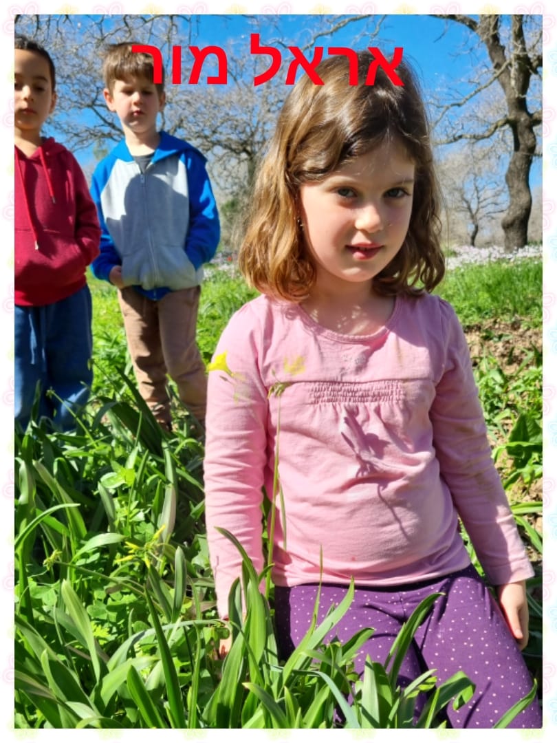 ילדי גן כלנית תיעוד בטבע by liron yogev - Ourboox.com