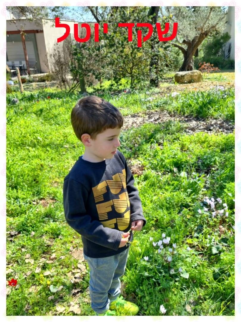 ילדי גן כלנית תיעוד בטבע by liron yogev - Ourboox.com