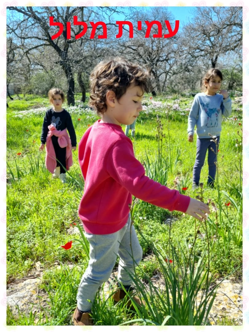 ילדי גן כלנית תיעוד בטבע by liron yogev - Ourboox.com