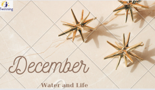 Water and Life by Gazi Abdurrahman Paşa Ortaokulu - Ourboox.com