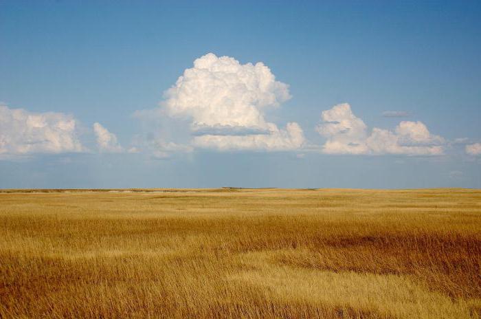 Азиатската степ