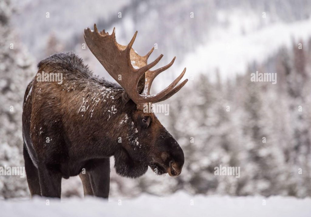 Природни зони – II част by Preslav Peychev - Ourboox.com