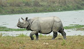 Природни зони by Preslav Peychev - Ourboox.com