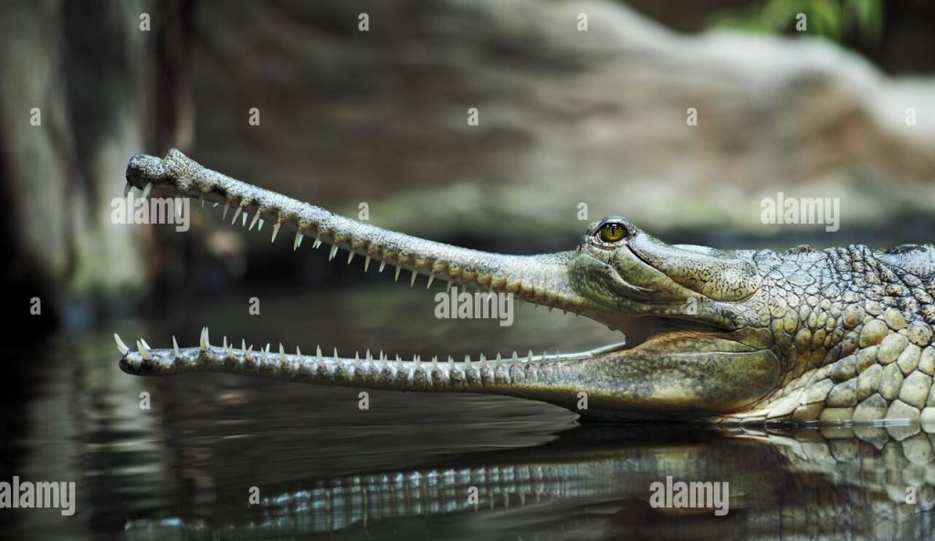 Природни зони by Preslav Peychev - Ourboox.com