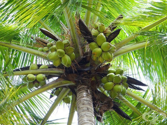 Природни зони by Preslav Peychev - Ourboox.com