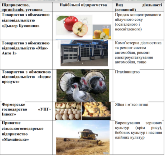 Мамаївська ТГ by Nazarius - Illustrated by zmiiovskyi/nazar - Ourboox.com