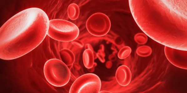 תאי דם אדומים by Altory Reem - Ourboox.com