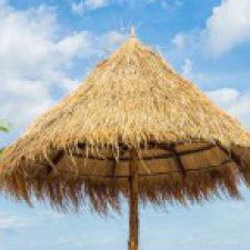 Profile picture of maryam