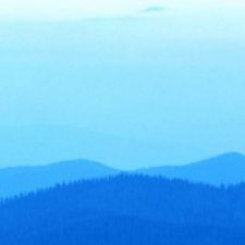 Profile picture of nikita