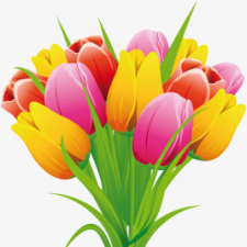 Profile picture of samira