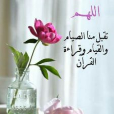 Profile picture of mohamed omar