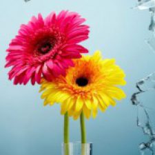 Profile picture of nosayba