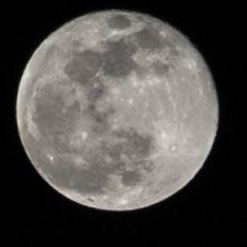 Profile picture of yazan awad