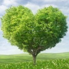 Profile picture of Classe Prima A