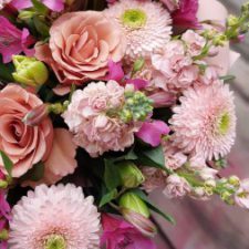 Profile picture of M. Ч.