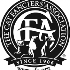 Profile picture of Myland Munchkin Cattery