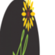 Profile picture of riverdayspa