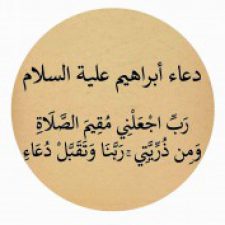 Profile picture of Iman Barbar