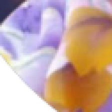 Profile picture of Наталья Николаевна