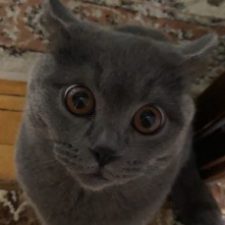 Profile picture of Танюшка