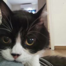 Profile picture of deema