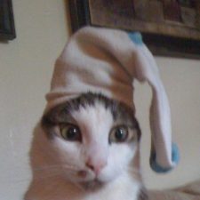 Profile picture of Ana Stankova