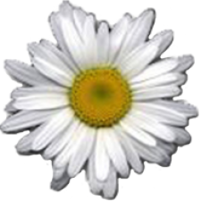 Profile picture of Filiz Bilici