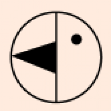 Profile picture of Nina Zeig