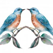 Profile picture of שרף הפקות בע"מ