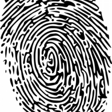 Profile picture of ori