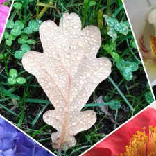 Profile picture of Dania Zamarian