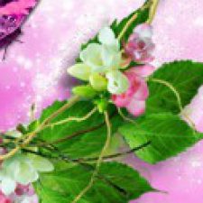 Profile picture of Bayan Abu Mdegm