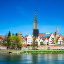 Profile picture of shahd shwike