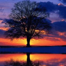 Profile picture of Greta