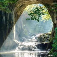 Profile picture of Rana Nemer