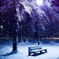 Profile picture of Xsevvalx