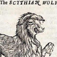 Profile picture of THEhistoryBEASTS