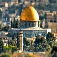 Profile picture of HIAM HIJAZI