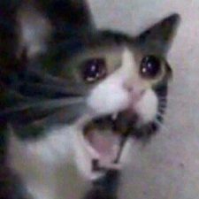 Profile picture of Alvermo