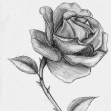 Profile picture of Birgül Gökçek