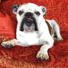 Profile picture of philip valle