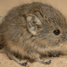 Profile picture of Blake Cassettari