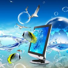 Profile picture of alwan