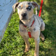 Profile picture of torywiley