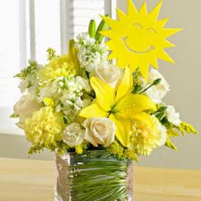 Profile picture of Tanya Petkova