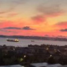 Profile picture of Mira