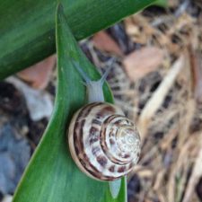 Profile picture of Angela Marconi