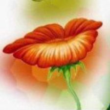 Profile picture of Popova